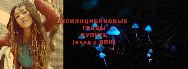 мдпв Покровск