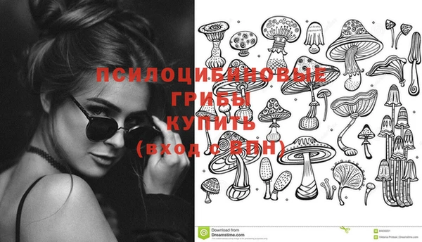 мдпв Покровск