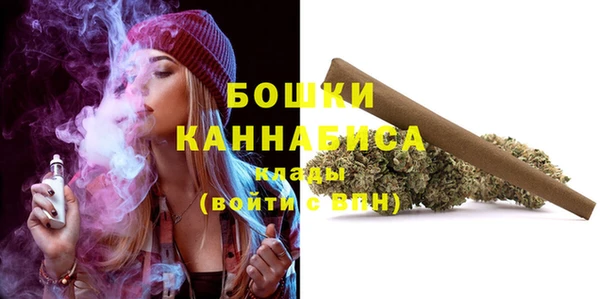 ГАЛЛЮЦИНОГЕННЫЕ ГРИБЫ Чегем